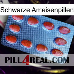 Black Ant Pills 06